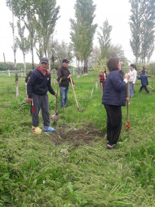Көктемгі сенбілік