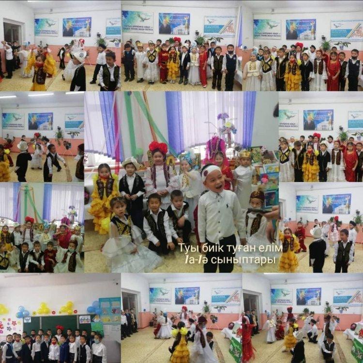 "Туы биік туған елім"