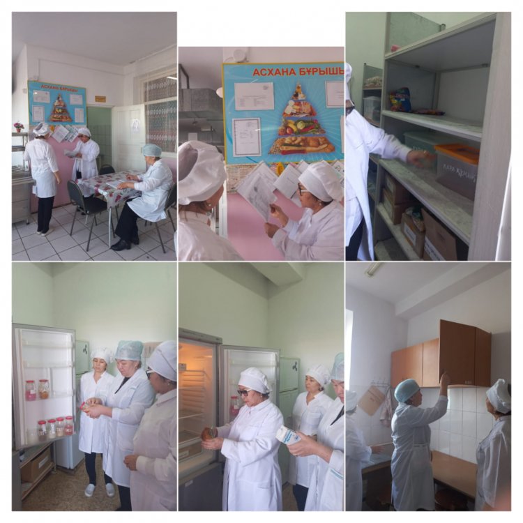 ТАМАҚТАНУ САПАСЫНА МОНИТОРИНГ ЖҮРГІЗУ ҚОРЫТЫНДЫСЫ ТУРАЛЫ АНЫҚТАМАСЫ